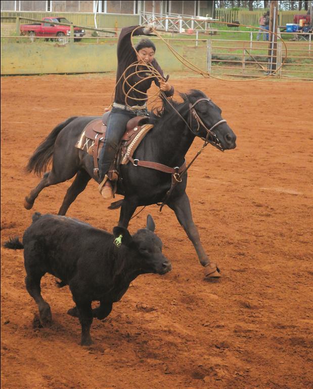 Not Horsing Around
